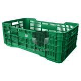 Venta-de-Anaqueles-TANER-Contenedor-Corto-Calado-Repro-01