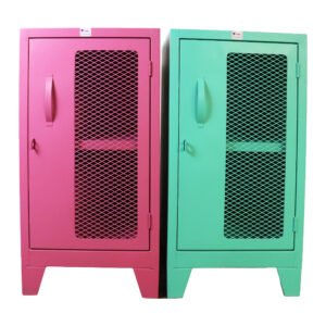 Mini Locker con Malla - TANER Organizadora de Espacios CDMX y Queretaro