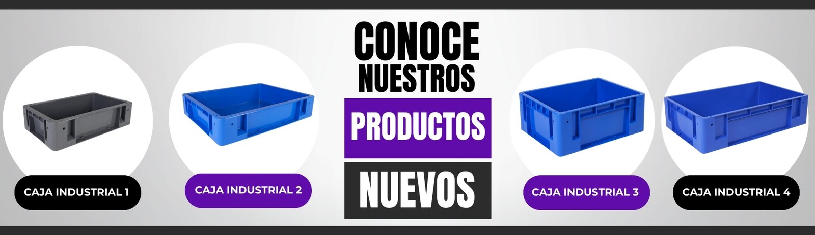 TANER - Cajas de Plastico y Contenedores Plasticos - CDMX y Queretaro Enero 01 2025