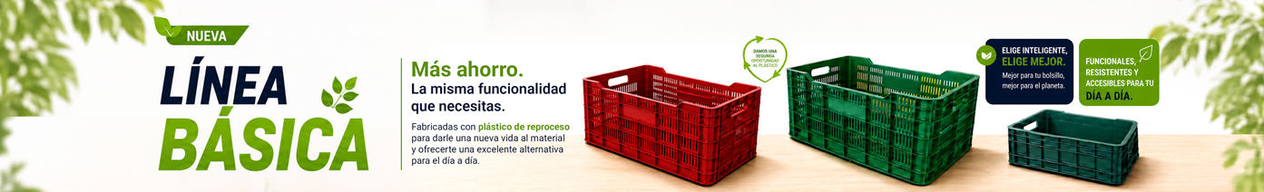 Linea-Economica-Categoria